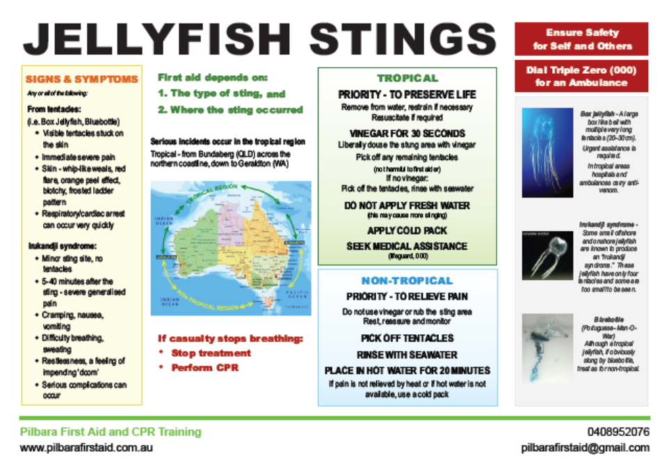 fachsheet-Jellyfish
